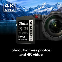 Lexar 256GB Silver Plus 255MB/s SDXC Kart